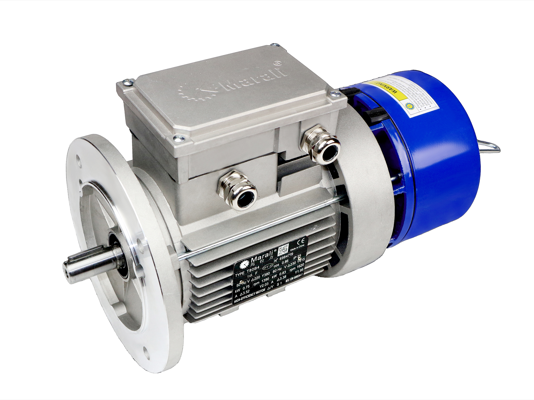 Three phase brake motor