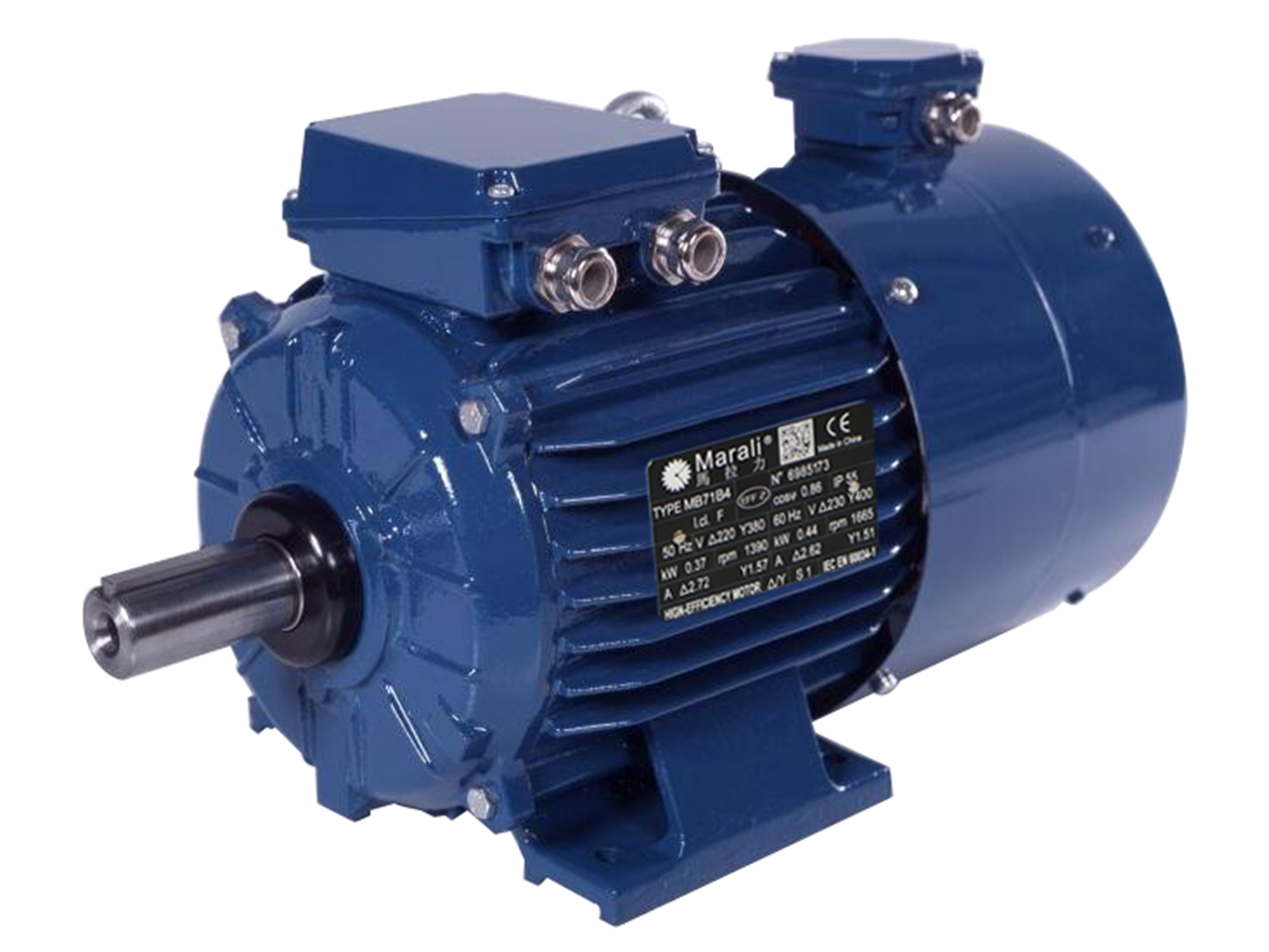 MBP series variable frequency motor