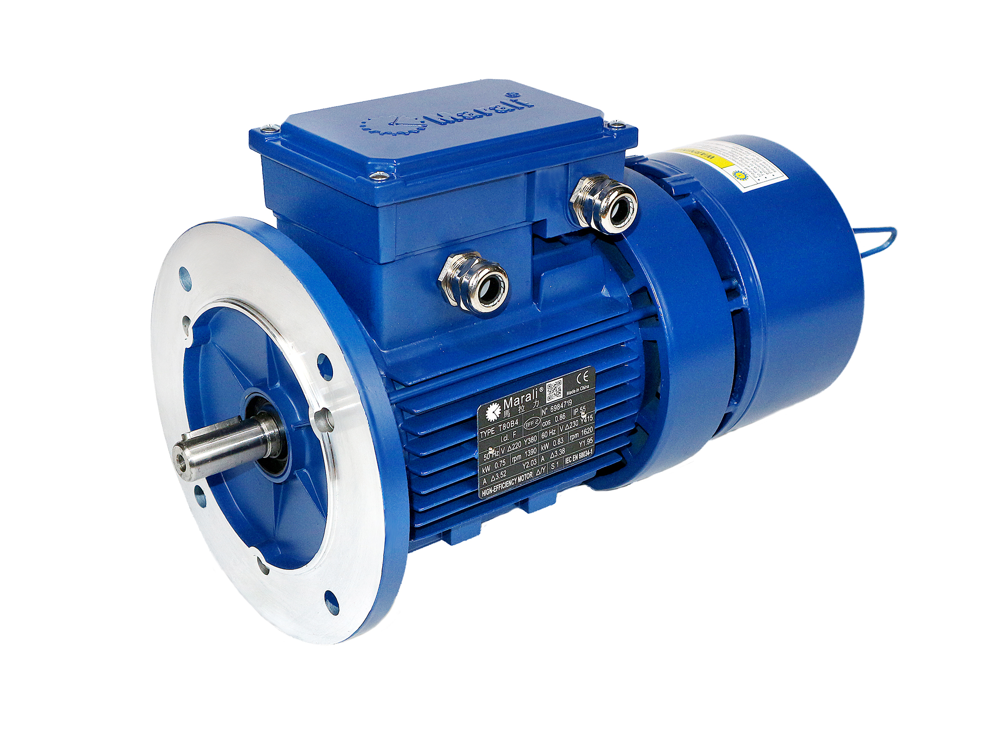 Three phase brake motor